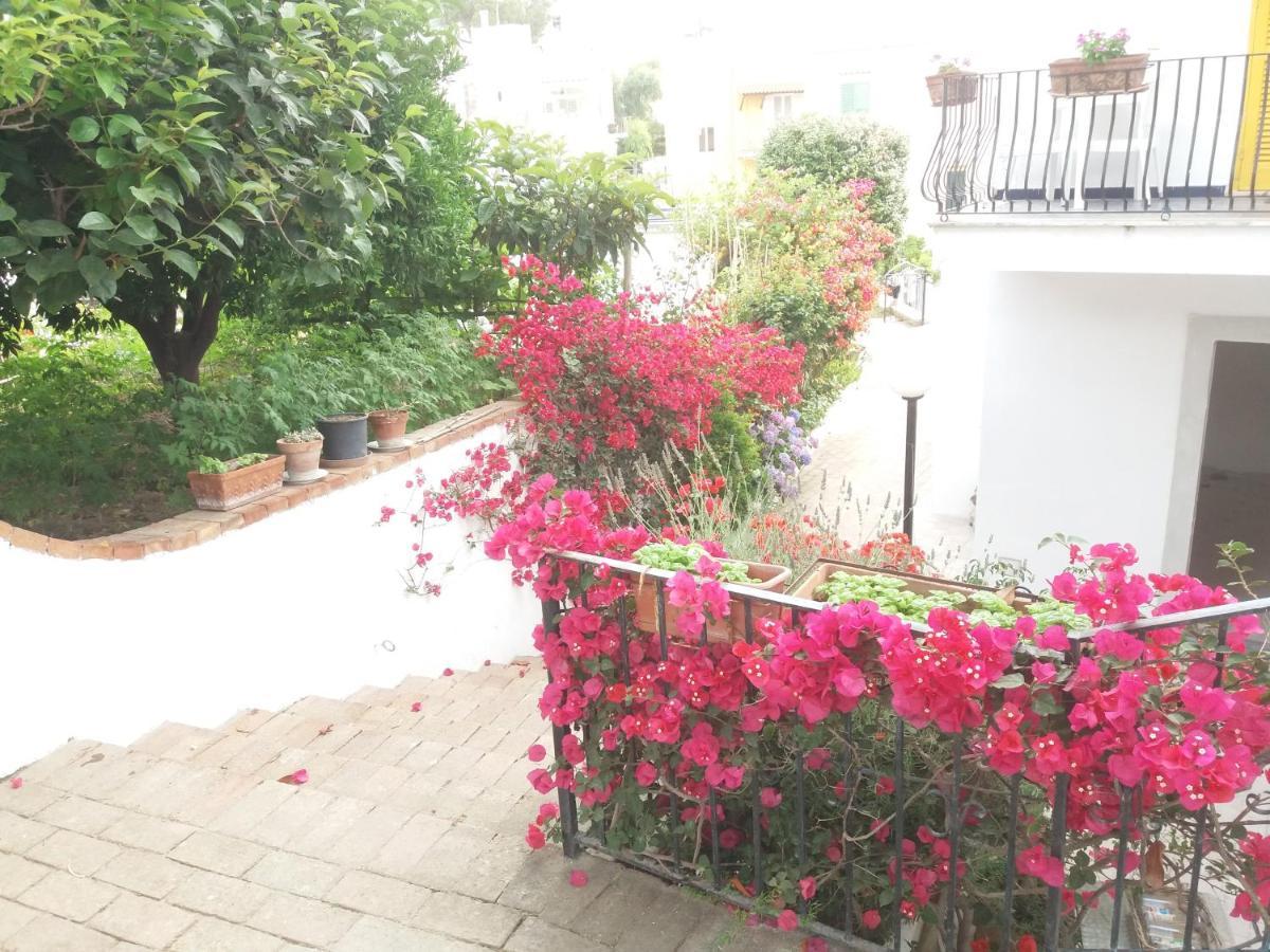 Gromano Apartments Isquia Exterior foto